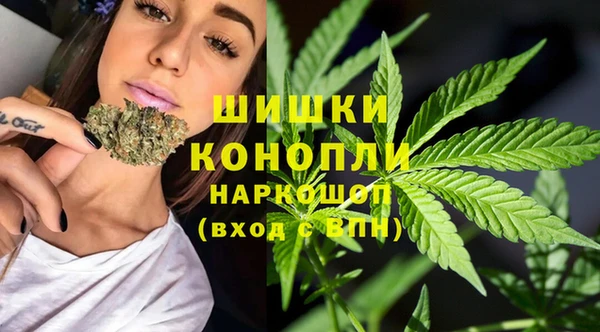 твердый Майский