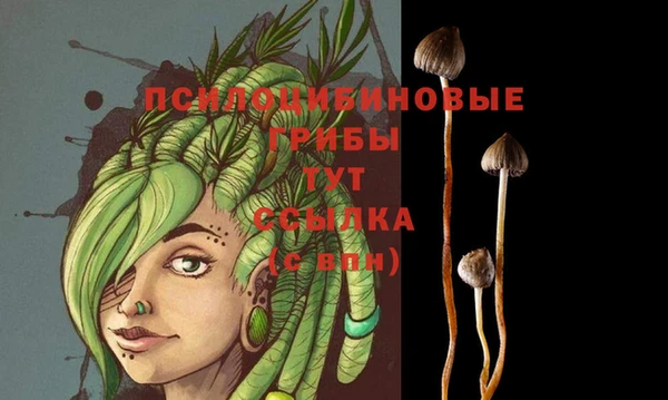 mdpv Белокуриха